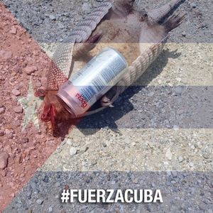 Meet your Posher, Red n jess